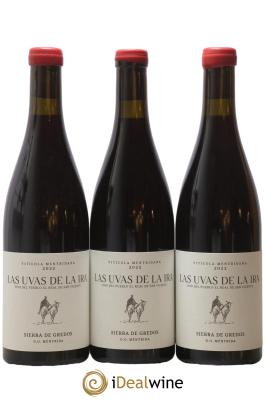 Méntrida DO Viticola Mentridana (anciennement Daniel Jimenez-Landi) Las Uvas de la Ira