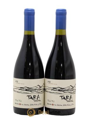 Chili Atacama Valley Syrah Ventisquero Tara
