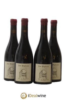 Chinon Clos de Maulevrier Ante Phylloxera Franc de Pied Marc Plouzeau