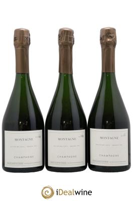 Montagne Verzy Grand Cru Les Monts Fournois (Domaine)