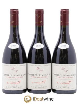 Chambolle-Musigny 1er Cru Les Sentiers Tortochot (Domaine)