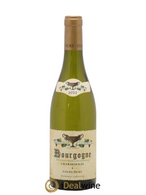 Bourgogne Coche Dury (Domaine)