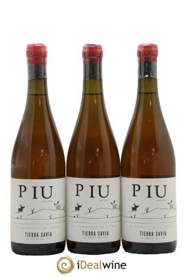 Espagne Tierra Savia Piu Anfora