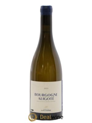 Bourgogne Aligoté Adrien Lattard