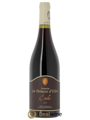 Pays d'Hérault L'Enclos Terrasse d'Elise (Domaine de la) 