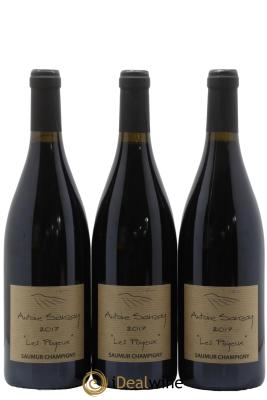 Saumur-Champigny Les Poyeux Antoine Sanzay