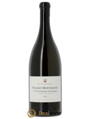 Puligny-Montrachet 1er Cru Hameau de Blagny Thomas-Collardot (Domaine) 