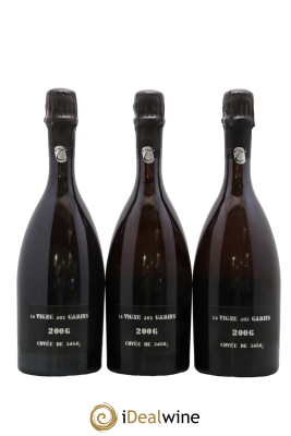 La Vigne aux Gamins Alain Thiénot