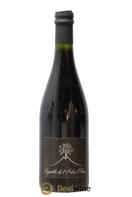 Vin de France Les Orgues Vignoble de l'Arbre Blanc