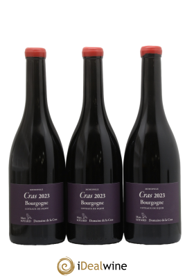 Bourgogne Cras Domaine de la Cras - Marc Soyard