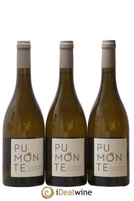 Vin de Corse Calvi Pumonte Domaine Alzipratu