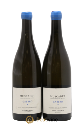 Muscadet-Sèvre-et-Maine Gabbro Jérôme Bretaudeau - Domaine de Bellevue