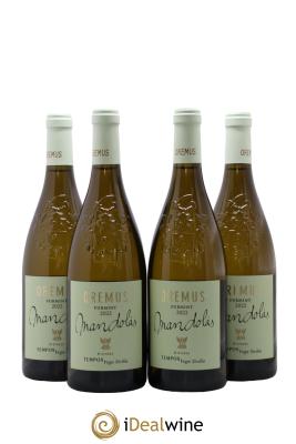 Tokaj Oremus  PDO Mandolas Vega Sicilia