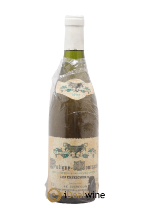 Puligny-Montrachet Les Enseignères Coche Dury (Domaine)