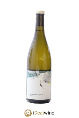 Bourgogne Aligoté En Coulezain Les Horées