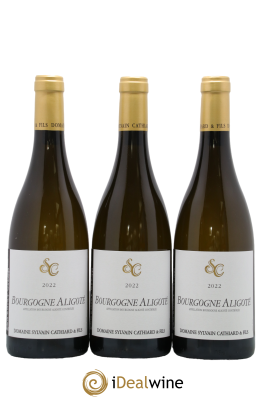 Bourgogne Aligoté Sylvain Cathiard & Fils