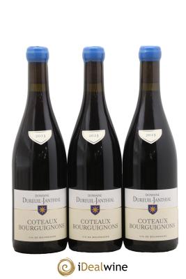 Côteaux Bourguignons Vincent Dureuil-Janthial