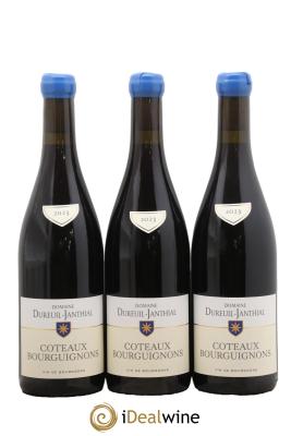 Côteaux Bourguignons Vincent Dureuil-Janthial
