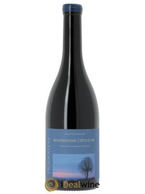 Bourgogne Pinot noir Maison Skyaasen 
