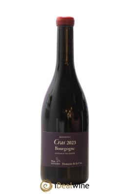 Bourgogne Cras Domaine de la Cras - Marc Soyard