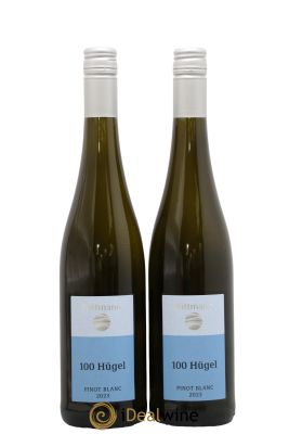 Allemagne Rheinhessen Riesling Trocken 100 Hugel Pinot Blanc Wittmann