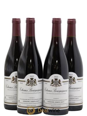 Coteaux Bourguignons Joseph Roty (Domaine)