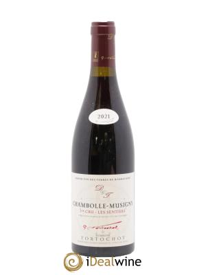 Chambolle-Musigny 1er Cru Les Sentiers Tortochot (Domaine)