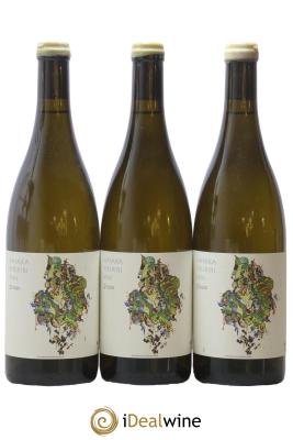 Vin de France Whaka Piripiri Mai Clos des Plantes - Olivier Lejeune