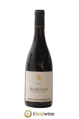 Bourgogne Sylvain Cathiard & Fils