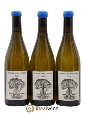 Vin de France Gaïa Jérôme Bretaudeau - Domaine de Bellevue