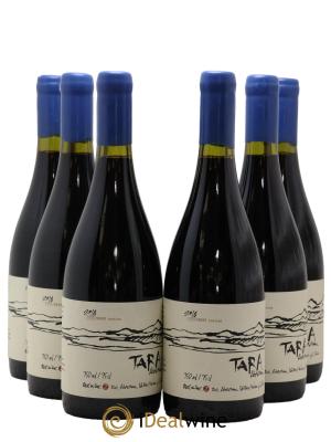 Chili Atacama Valley Syrah Ventisquero Tara