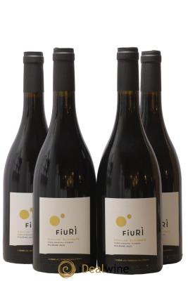 Vin de Corse Calvi Fiuri Domaine Alzipratu