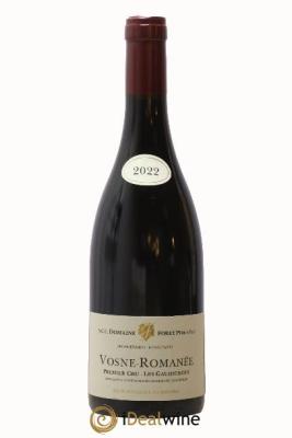 Vosne-Romanée 1er Cru Les Gaudichots Forey Père et Fils (Domaine)
