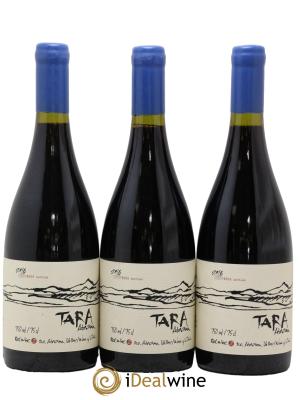 Chili Atacama Valley Syrah Ventisquero Tara