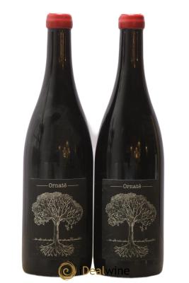 Vin de France Merlot Ornaté Jérôme Bretaudeau - Domaine de Bellevue