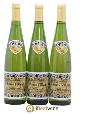 Muscat Schueller