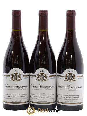 Coteaux Bourguignons Joseph Roty (Domaine)