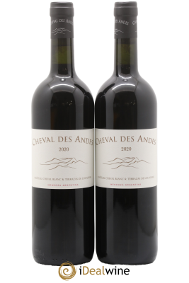 Mendoza Cheval des Andes