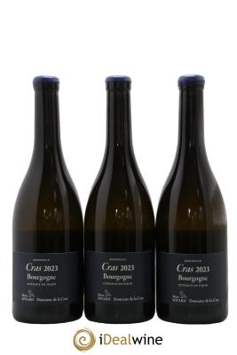 Bourgogne Cras Domaine de la Cras - Marc Soyard