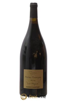 Saumur-Champigny Les Poyeux Antoine Sanzay