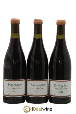Bourgogne Les Longs Rangs Maxime Crotet