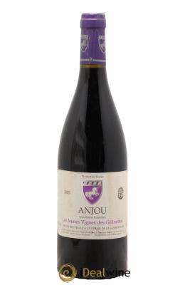 Anjou Les Jeunes Vignes des Gélinettes Mark Angeli (Domaine) - Ferme de la Sansonnière