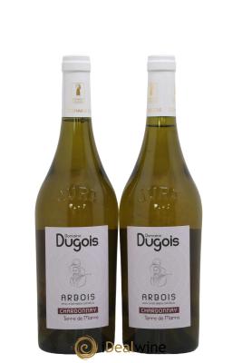 Arbois Chardonnay Terre de Marne Domaine Dugois