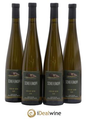 Alsace Riesling Lieu-dit Berg Schieferkopf - Chapoutier