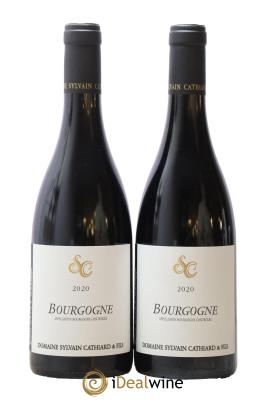 Bourgogne Sylvain Cathiard & Fils