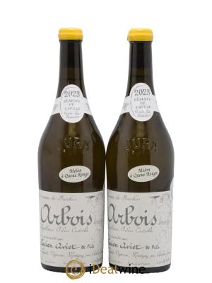 Arbois Melon à Queue Rouge Cuvée des Docteurs Lucien Aviet (Domaine)