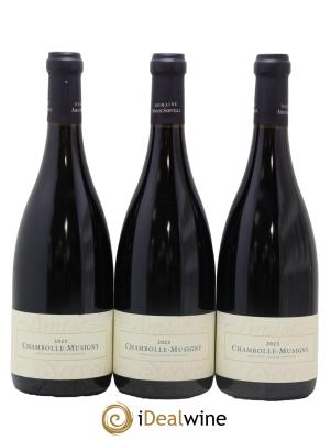 Chambolle-Musigny Amiot-Servelle