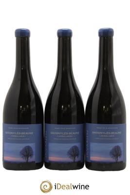 Savigny-lès-Beaune Les Bas Liards Maison Skyaasen