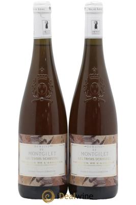 Coteaux de l'Aubance Les Trois Schistes Domaine de Montgilet