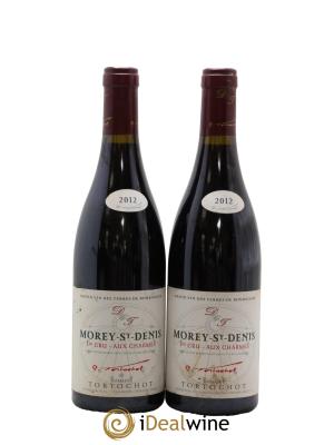Morey-Saint-Denis 1er Cru Aux Charmes Tortochot (Domaine)